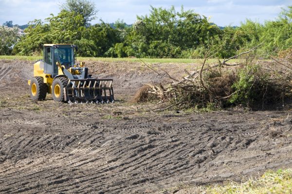 Logan Land Clearing